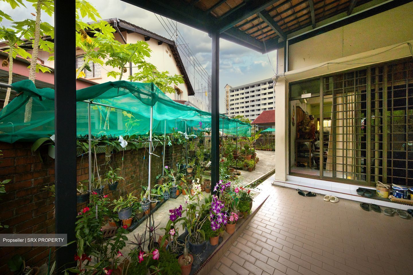 Thomson Garden Estate (D20), Terrace #547394261